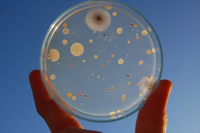 Víz és levegő-tisztasági vizsgálatokat végeztek Csíkszeredában