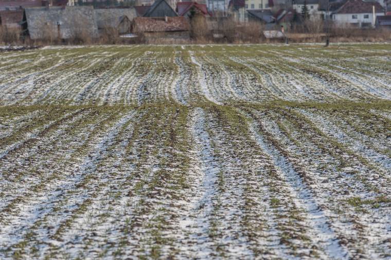 Szárazság és enyhe időjárás jellemezte a telet