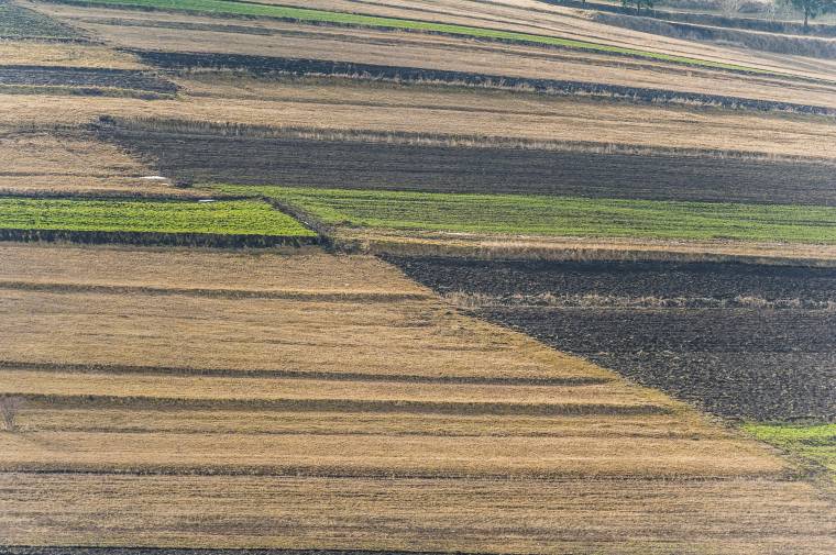 Létszámhiány miatt nem halad a földosztó bizottság munkája Gyergyószentmiklóson