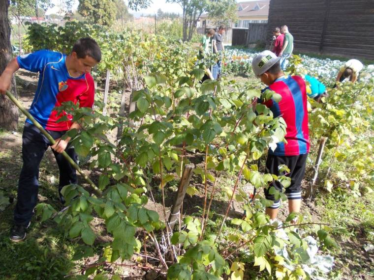 Csíkszentmárton: a szakképzettek többsége külföldre megy