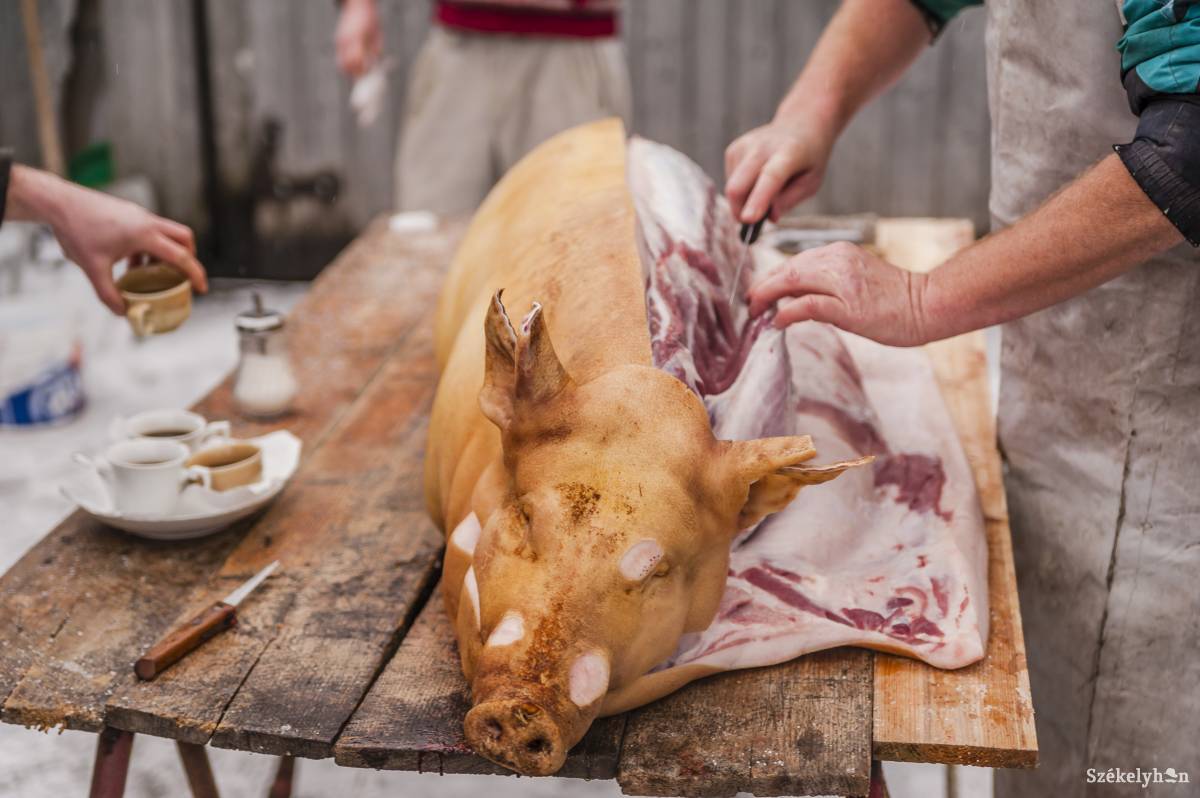 Fele így, fele úgy. Egyesek szerint a feldolgozott hús a biztos, mások úgy vélik, nem jön ide a sertéspestis &bullet;  Fotó: Veres Nándor