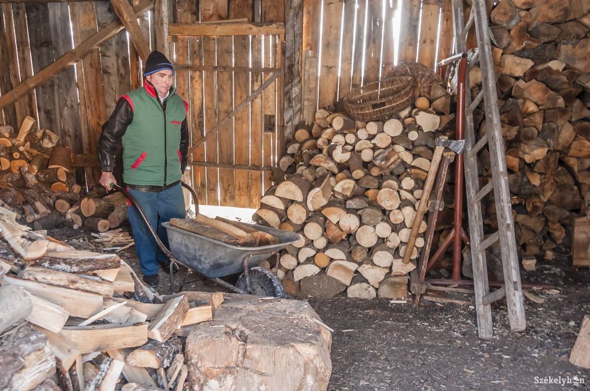 •  Fotó: Veres Nándor