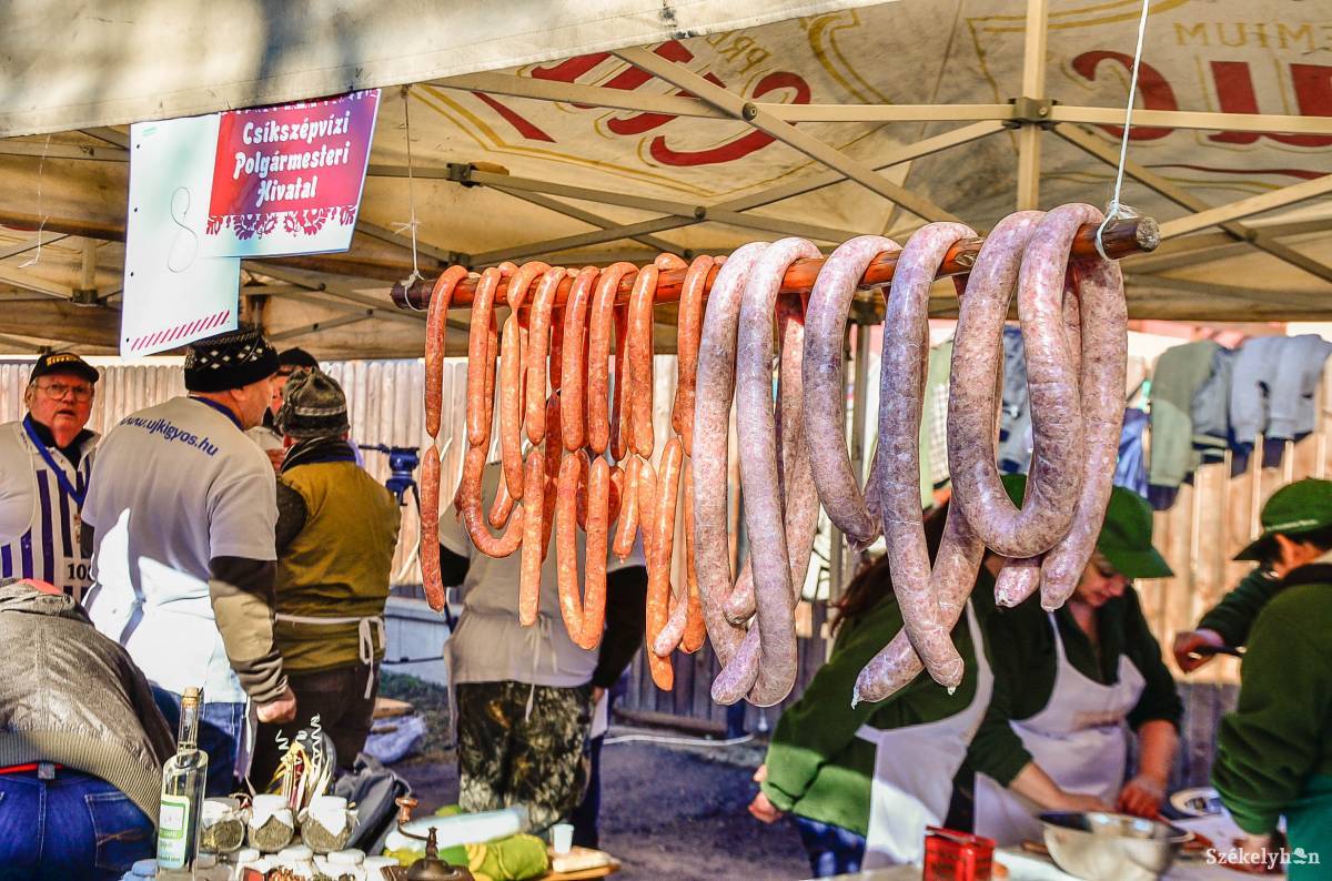 •  Fotó: Gecse Noémi