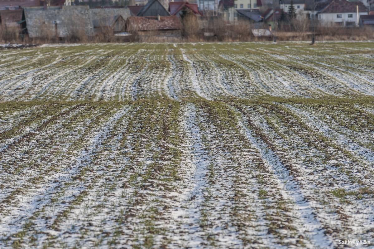 &bullet;  Fotó: Veres Nándor