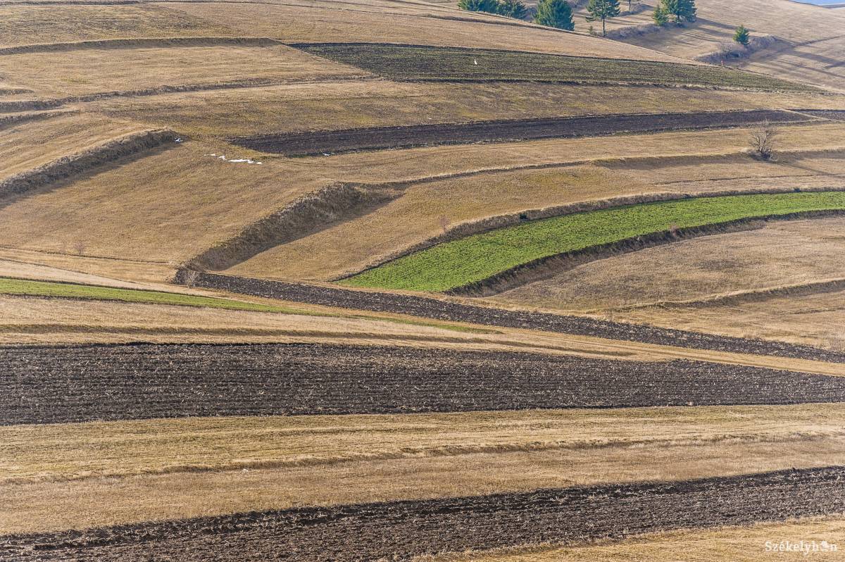 A visszaszolgáltatás mértékétől is függ a telekkönyvezés •  Fotó: Veres Nándor