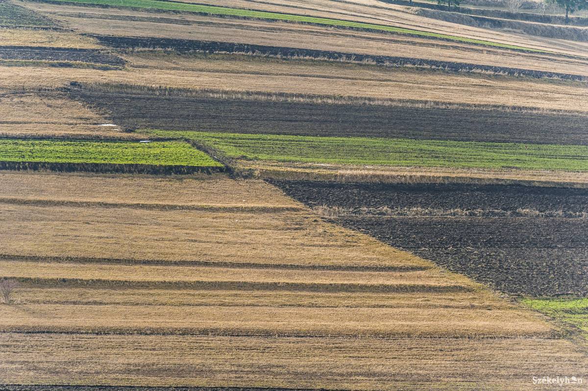 A területek meg vannak művelve, de a papírok nincsenek rendben. Illusztráció •  Fotó: Veres Nándor