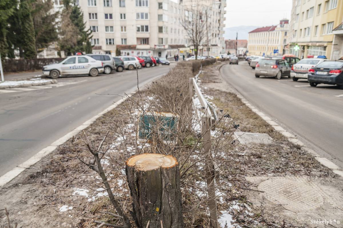 &bullet;  Fotó: Veres Nándor