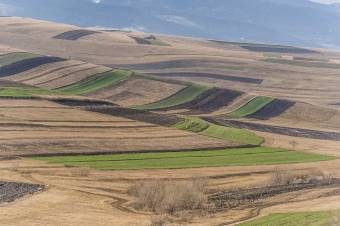 Késett a gazdák kifizetésével, menesztették az APIA országos vezetőjét