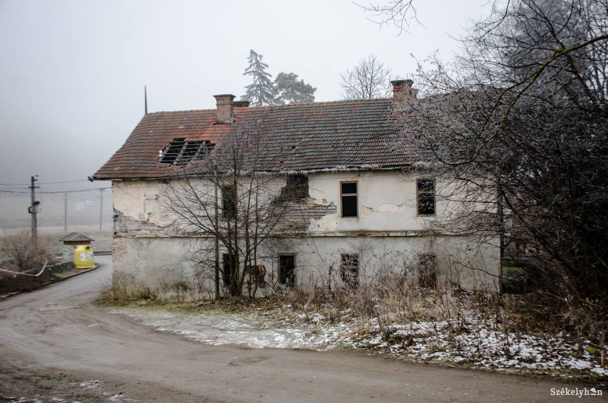 •  Fotó: Gecse Noémi