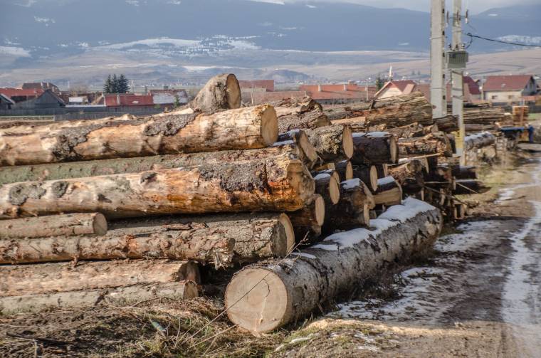 Az egekben a faanyag ára – rönkexportőrből importőrré vált tavaly Románia a drágulások miatt