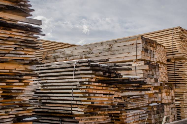 Törvénytelen fabirtoklás miatt jelentős bírságokat róttak ki Hargita megyében