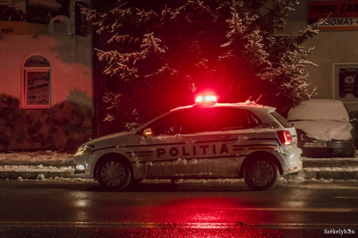 Illusztráció •  Fotó: Pinti Attila