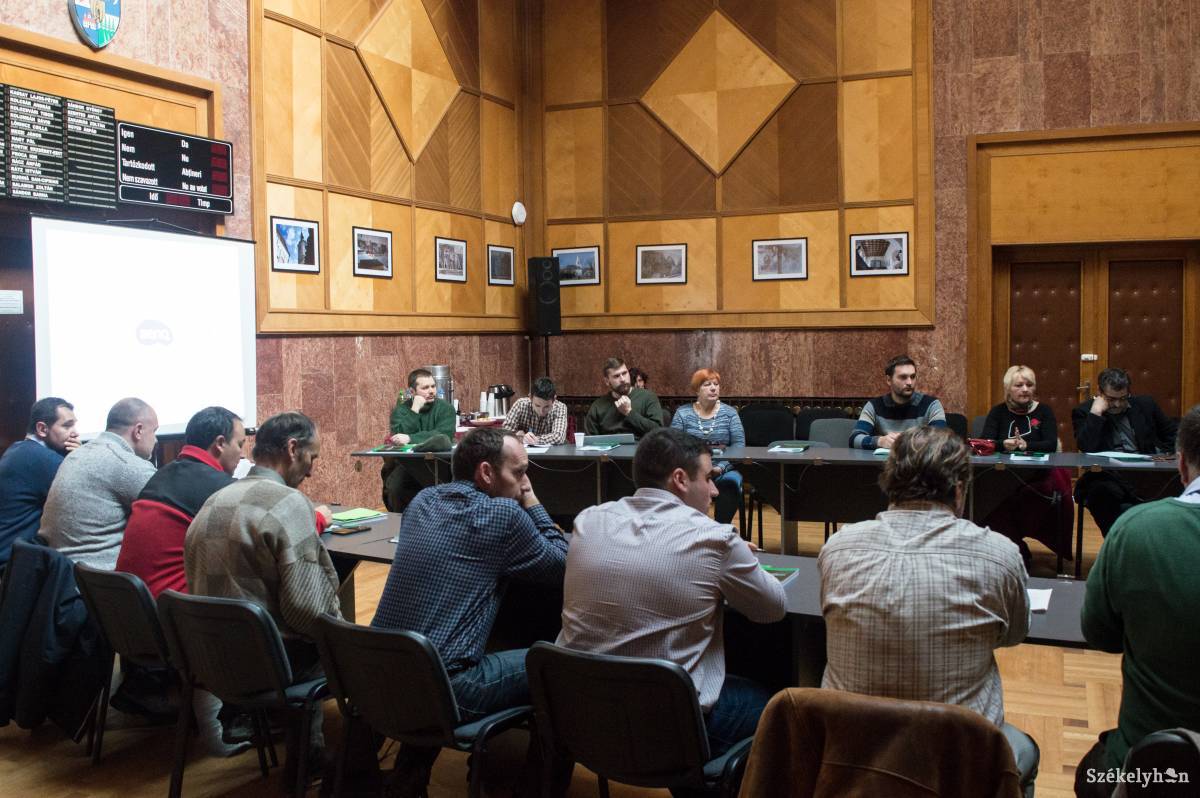Az erdő nemcsak a fakitermelésre jó, hanem közösségi tér is. Konferencia az erdőről •  Fotó: Sándor Csilla