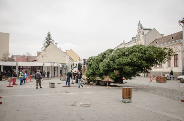 Jövő héten díszítik fel a magánszemély adományozta karácsonyfát