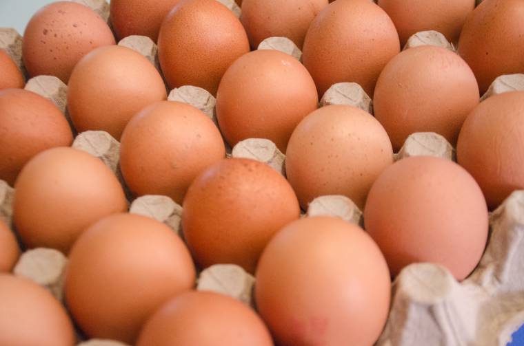 Mit szólna egy hatszáz tojásból készült rántottához reggelire?