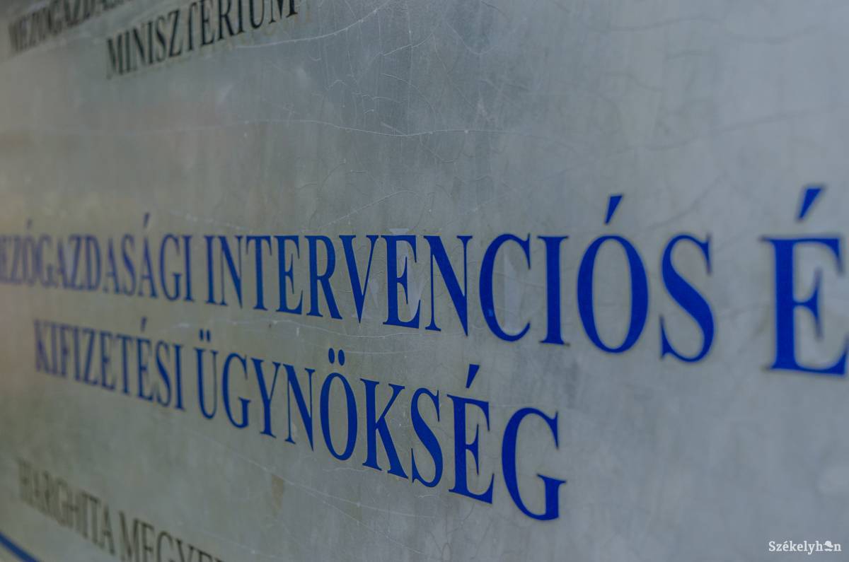 A hónap végéig lehet láttamoztatni az életjáradék-könyvecskéket a megyei APIA-nál •  Fotó: Sándor Csilla
