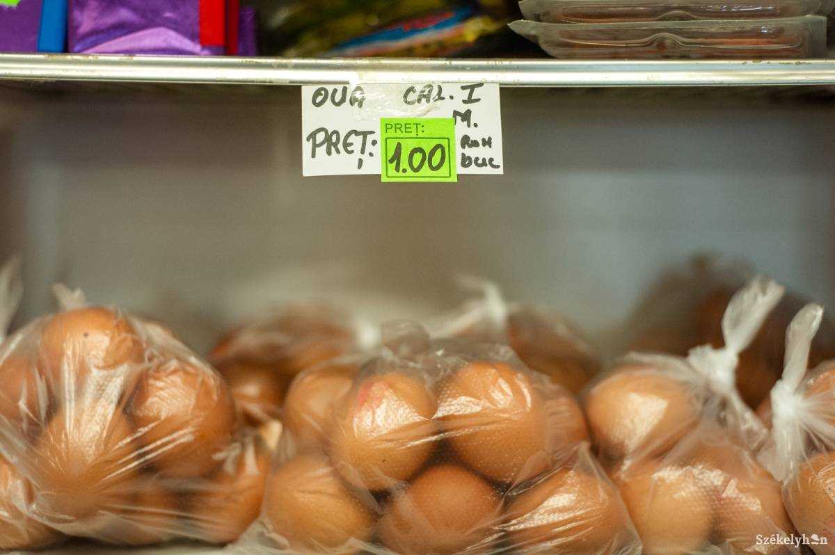 A tojáskrízis várhatóan márciusig fog tartani, addig az érintett farmok újra tudják telepíteni a levágott állományt •  Fotó: Gecse Noémi