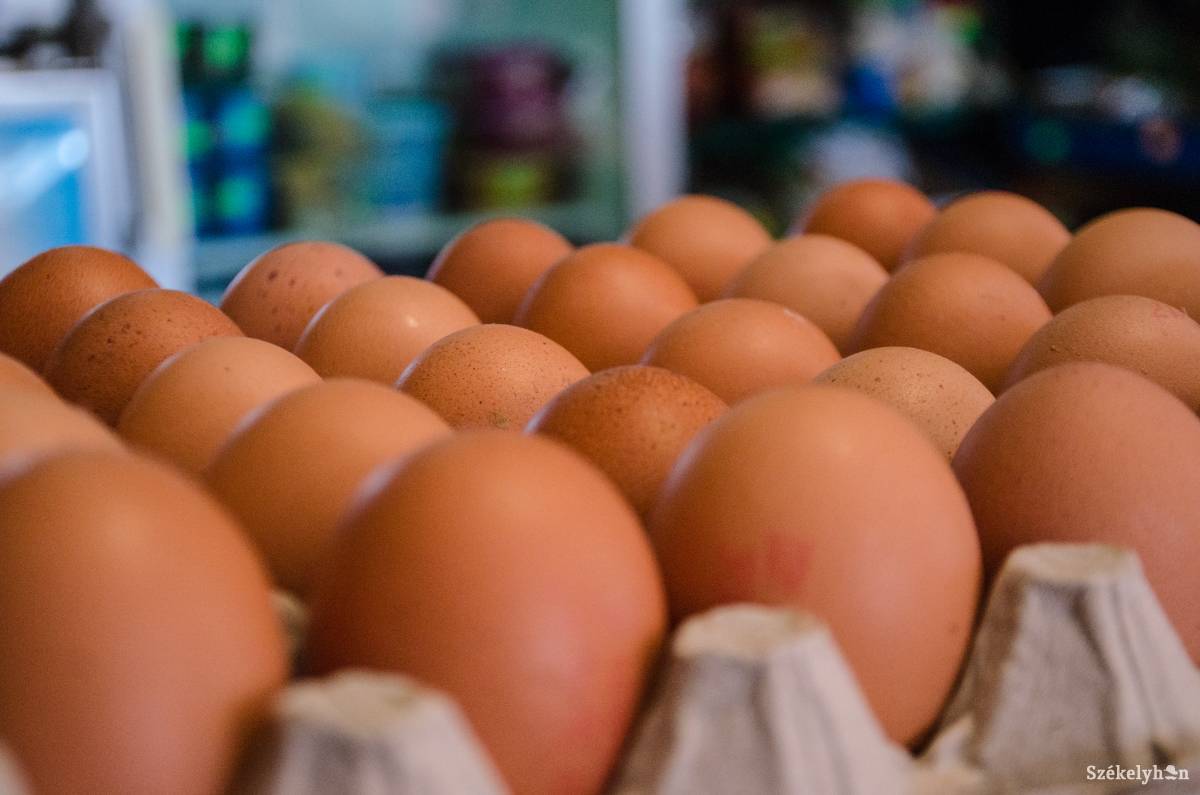 Azt is megnézik az ellenőrök, hogy megfelelő hőmérsékleten tárolják-e a tojást a kereskedelmi egységekben. Illusztráció •  Fotó: Gecse Noémi