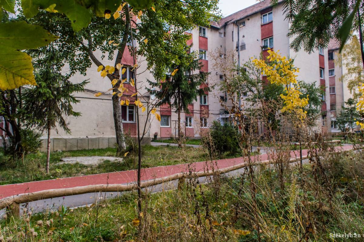 A közös élet hátrányai •  Fotó: Sándor Csilla