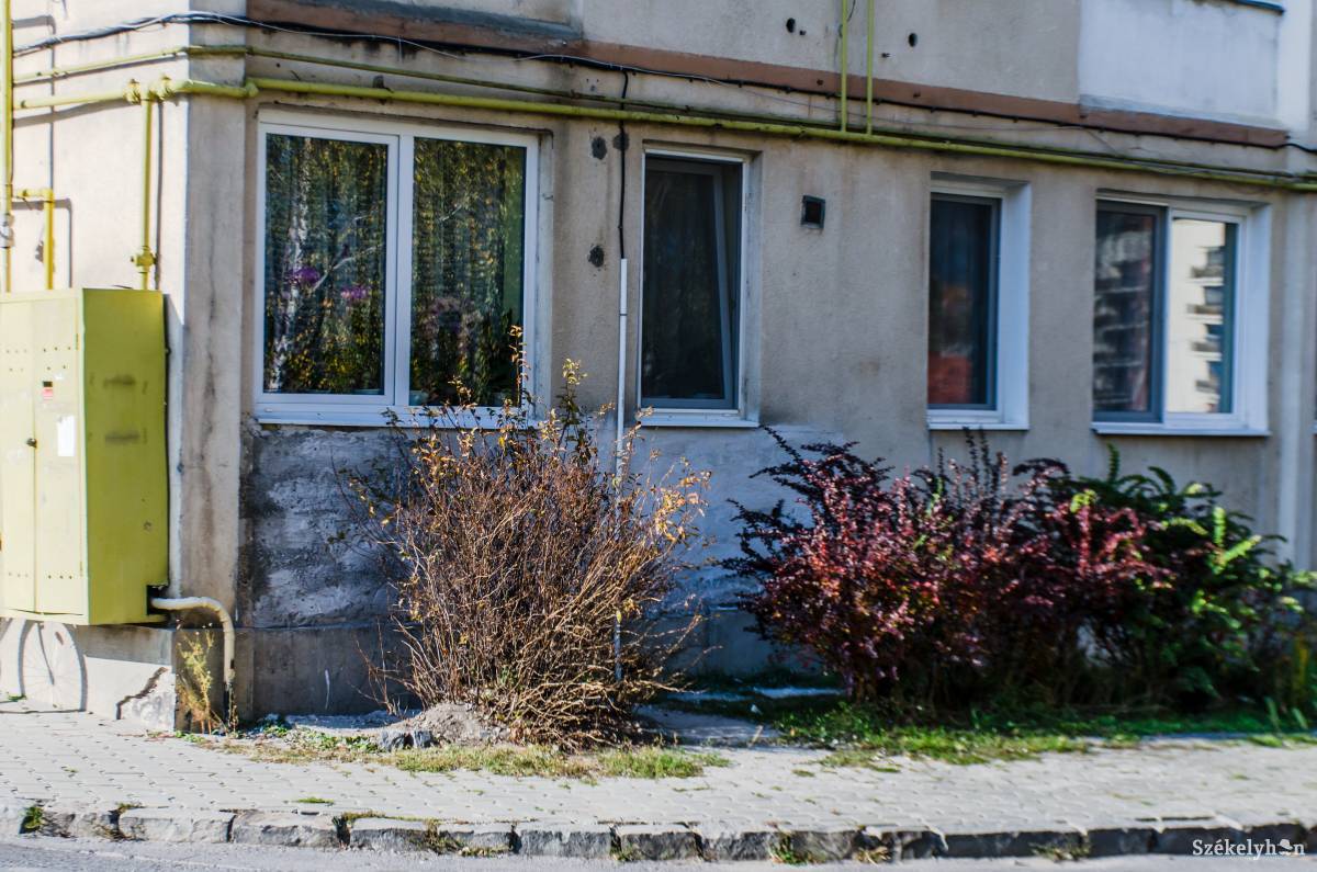 Földszinten jobban elkel a hőszigetelés. Le kellett bontassa a szigetelőanyagot az egyik Mikó utcai lakos •  Fotó: Sándor Csilla