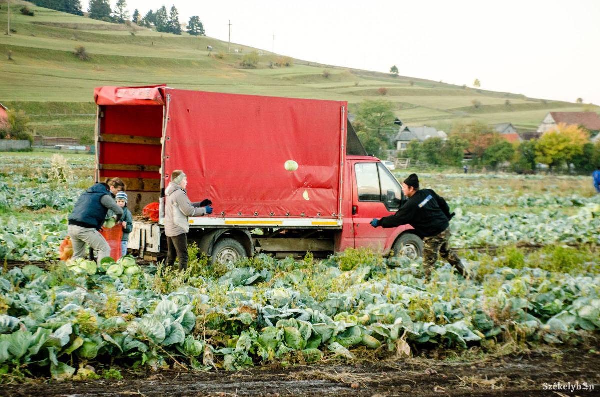 •  Fotó: Gecse Noémi