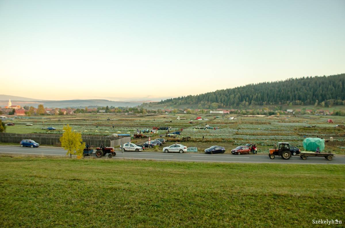 •  Fotó: Gecse Noémi