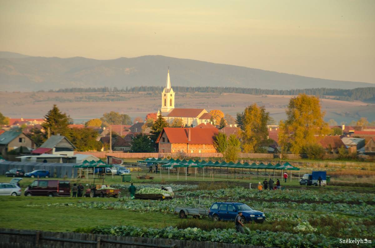 •  Fotó: Gecse Noémi