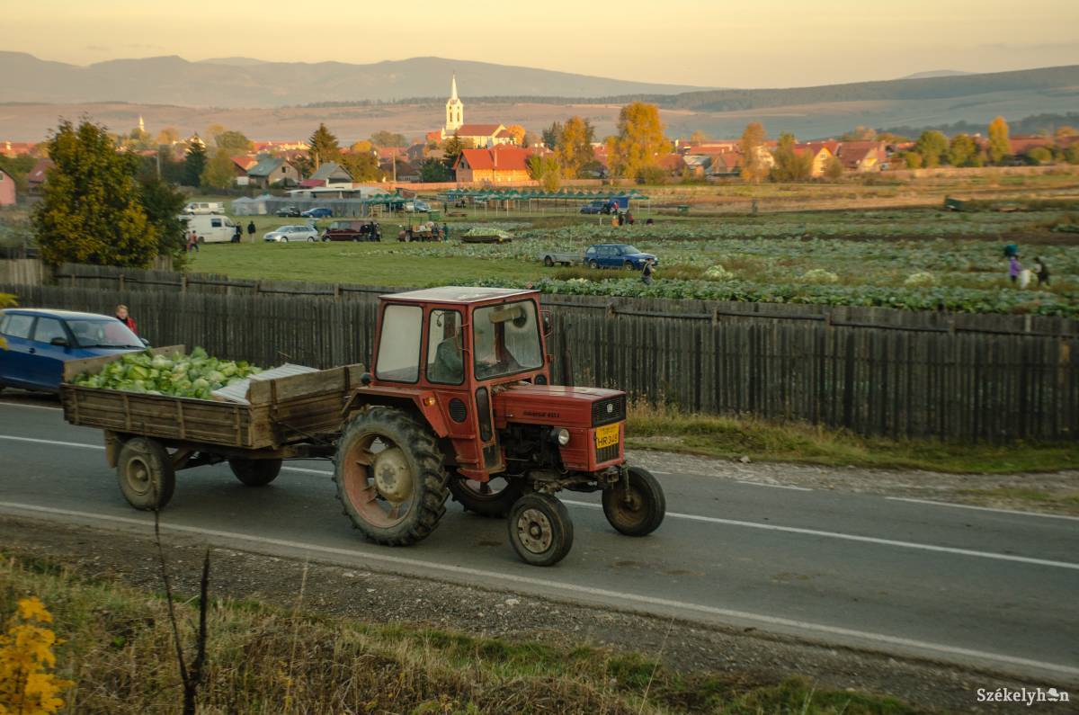 •  Fotó: Gecse Noémi