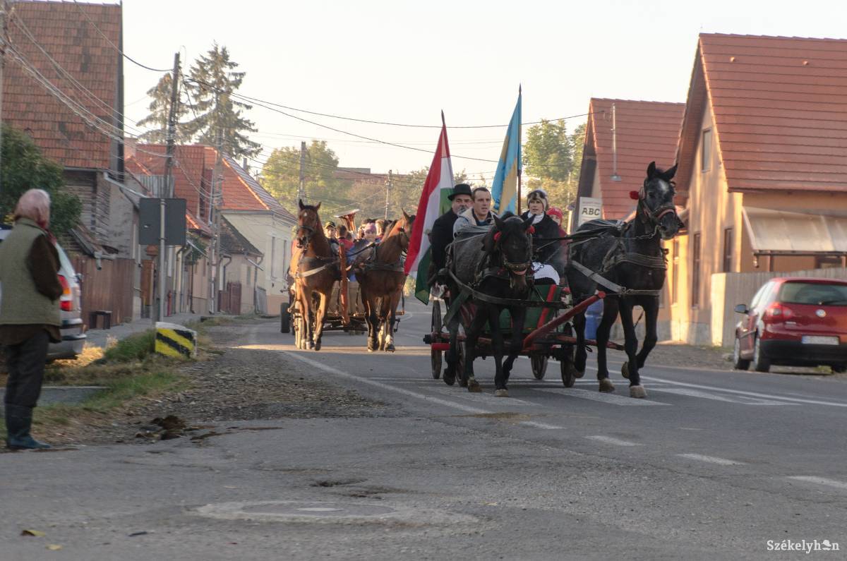 •  Fotó: Gecse Noémi