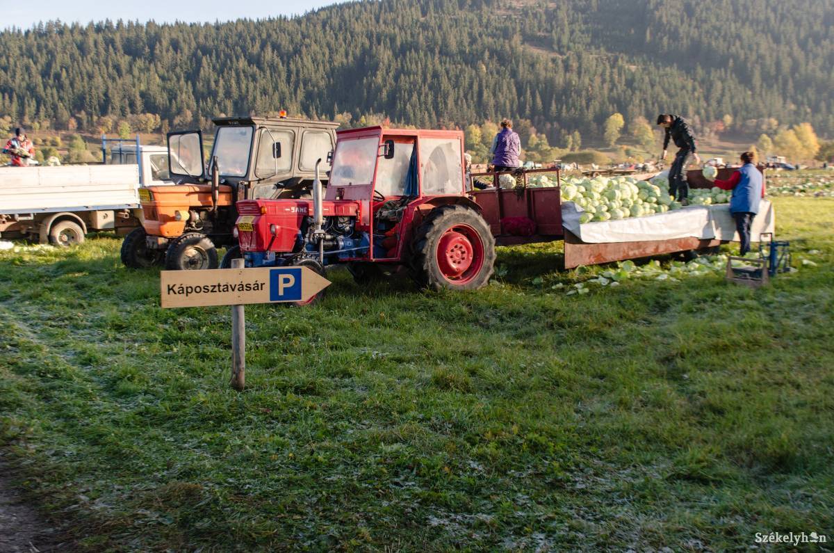 •  Fotó: Gecse Noémi