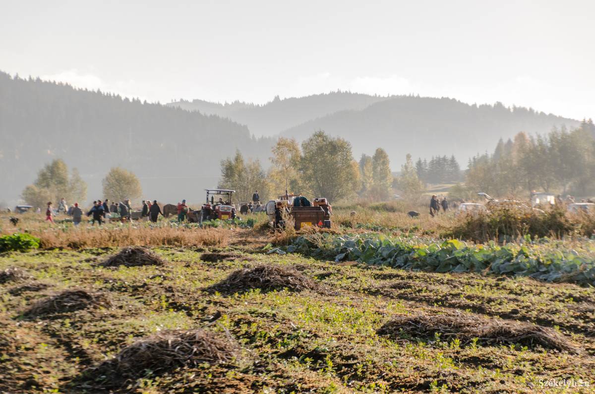 •  Fotó: Gecse Noémi