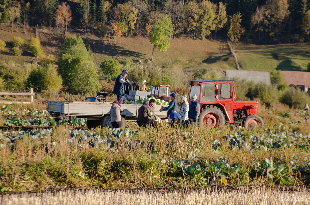 •  Fotó: Gecse Noémi