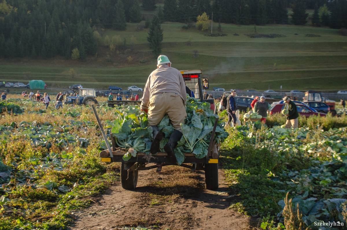 •  Fotó: Gecse Noémi
