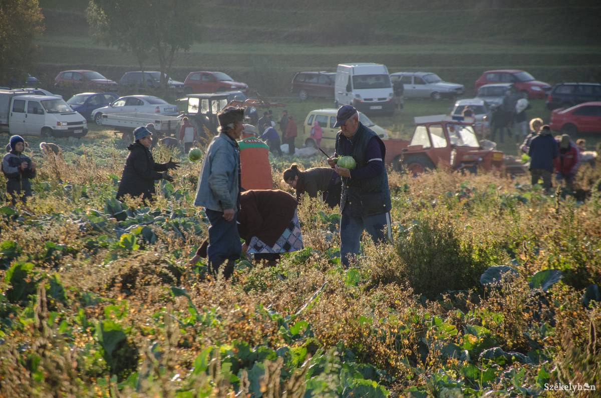 •  Fotó: Gecse Noémi