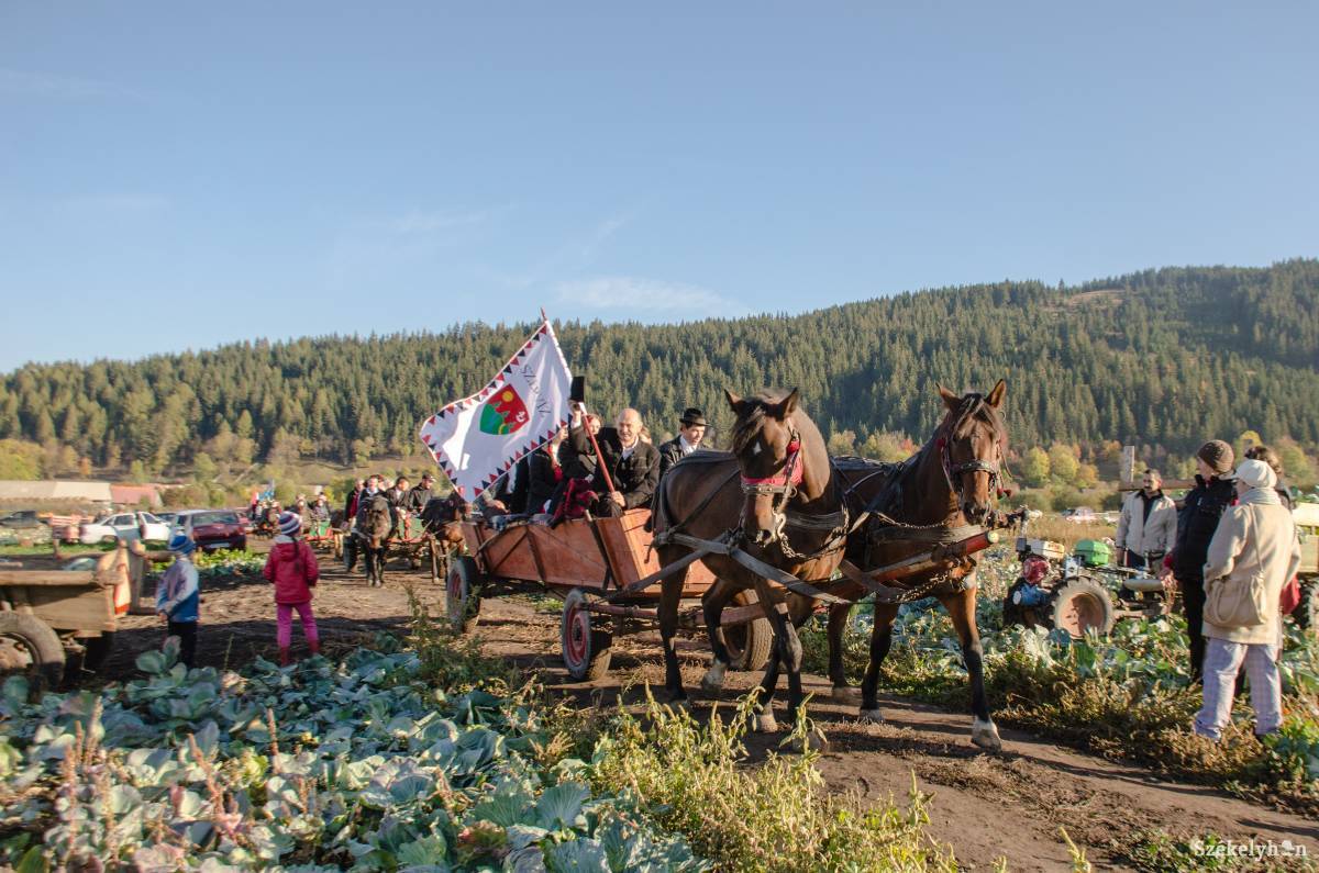 •  Fotó: Gecse Noémi