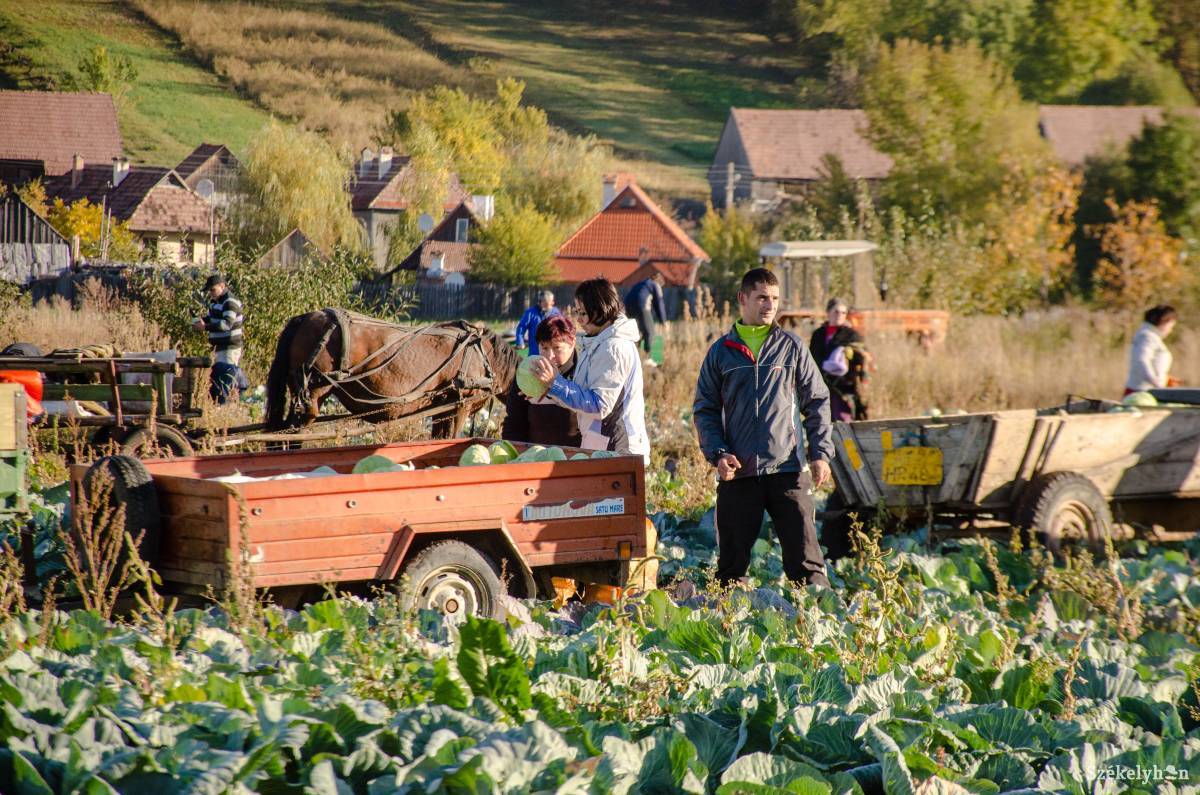 •  Fotó: Gecse Noémi