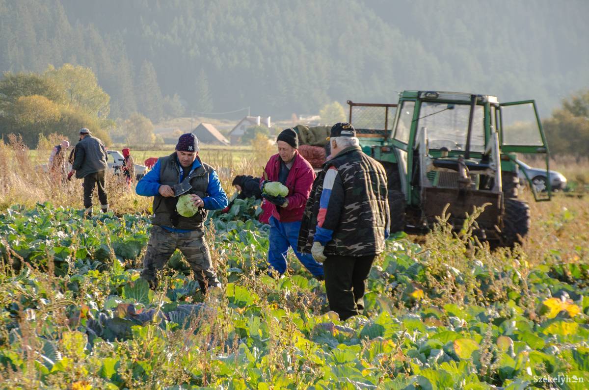 •  Fotó: Gecse Noémi