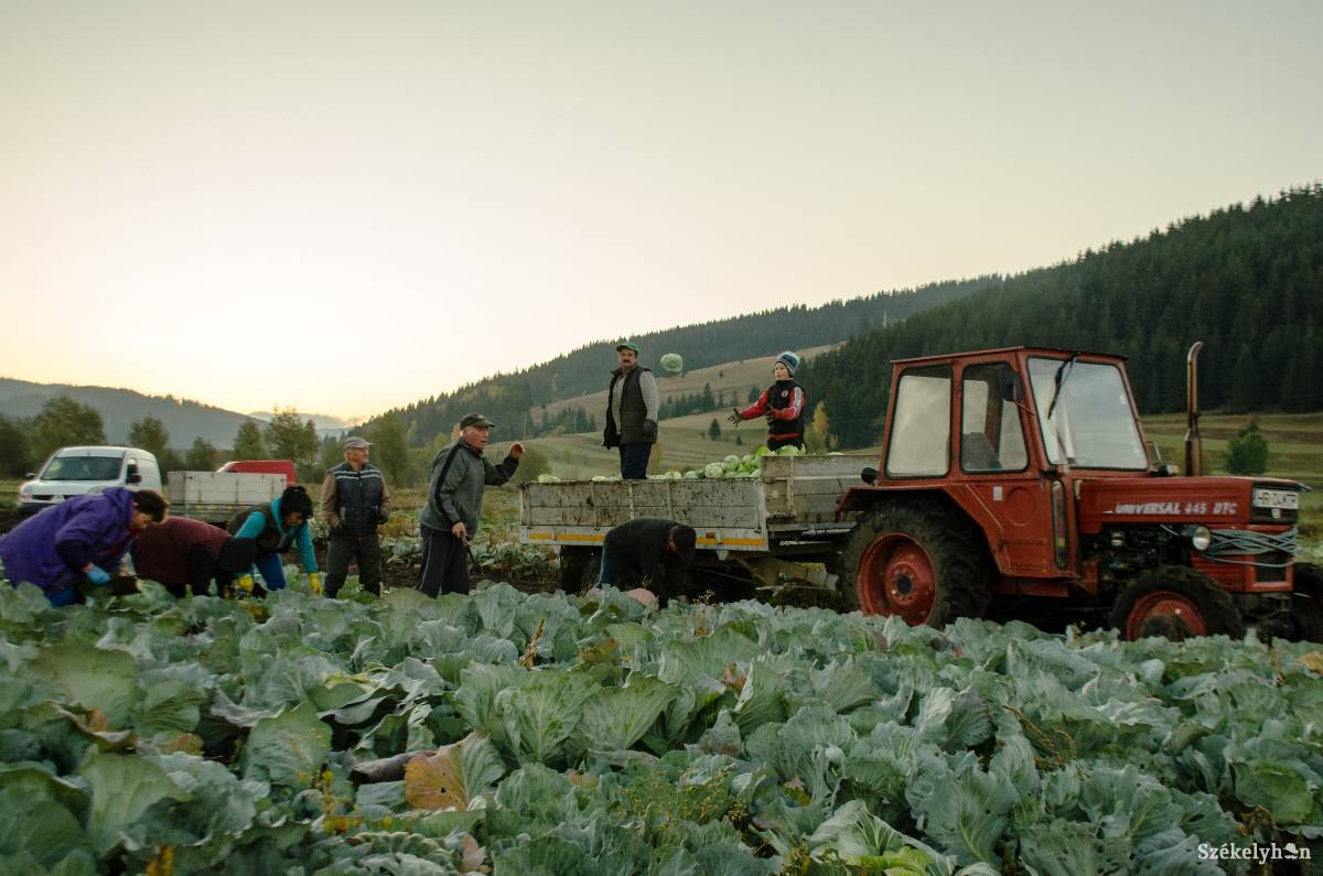 •  Fotó: Gecse Noémi
