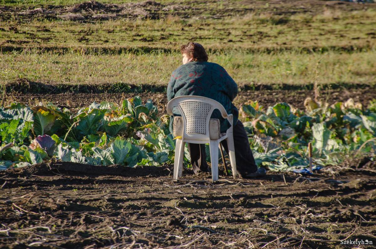 •  Fotó: Gecse Noémi