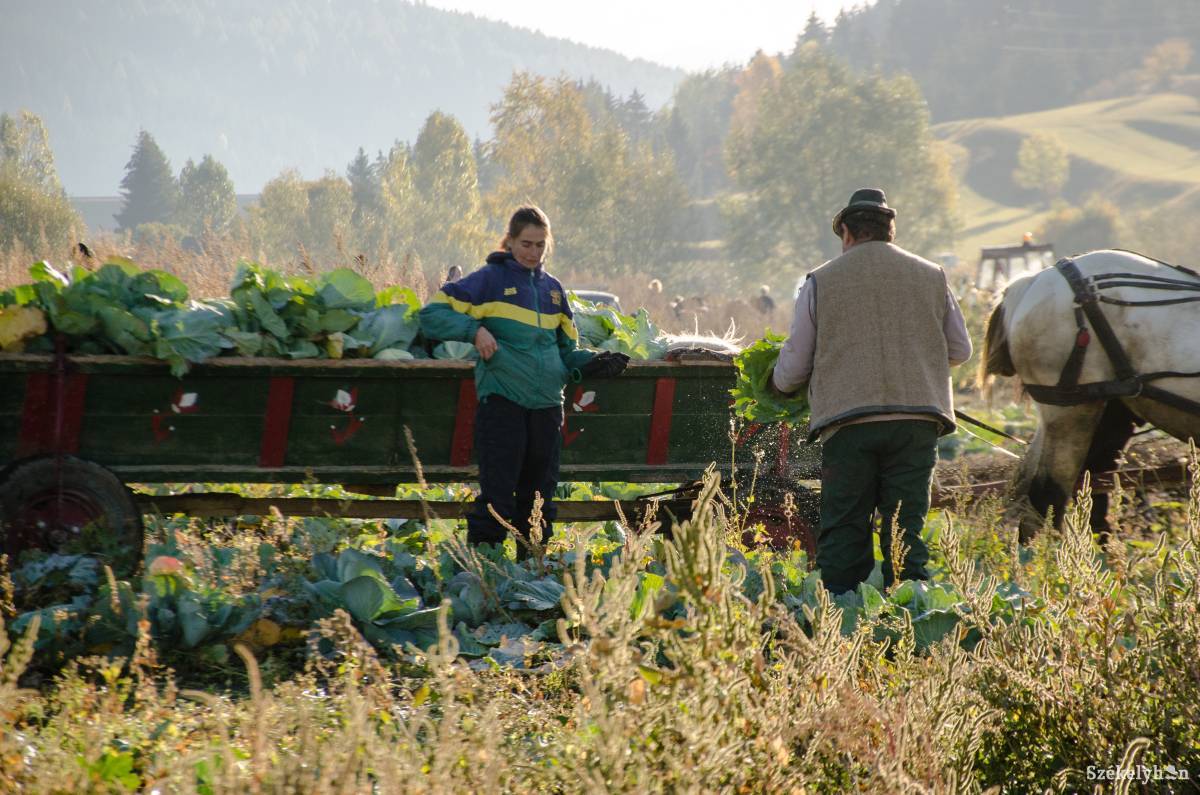 •  Fotó: Gecse Noémi