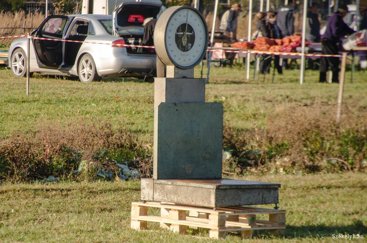 •  Fotó: Gecse Noémi