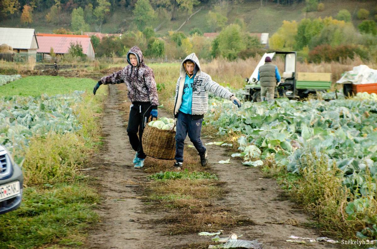 •  Fotó: Gecse Noémi