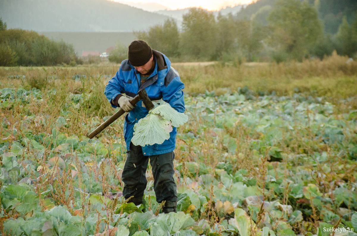 •  Fotó: Gecse Noémi