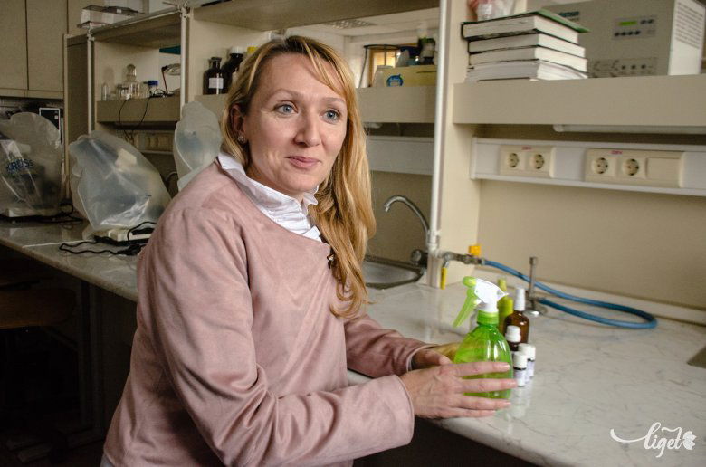 Dr. Mara Gyöngyvér egyetemi docens, a Sapientia Erdélyi Magyar Tudományegyetem csíkszeredai karának  rektorhelyettese •  Fotó: Gecse Noémi