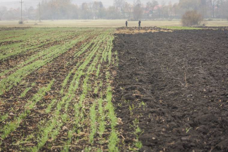 Ilyen időjárás mellett inkább lemondanak az őszi vetésről a gazdák