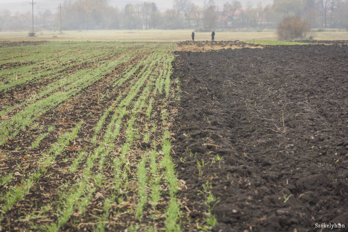 Képünk illusztráció •  Fotó: Pinti Attila