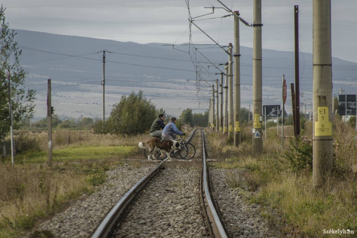Képünk illusztráció •  Fotó: Pinti Attila