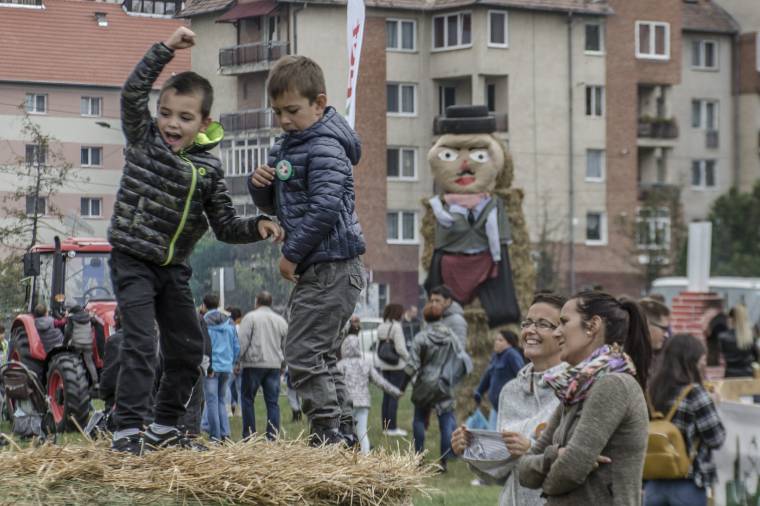 Töretlen a Falu a városban népszerűsége