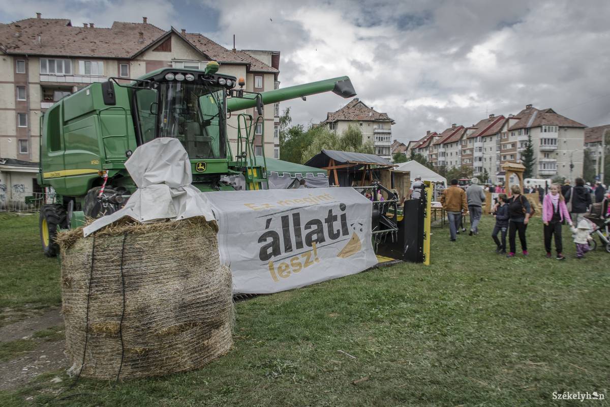 •  Fotó: Pinti Attila