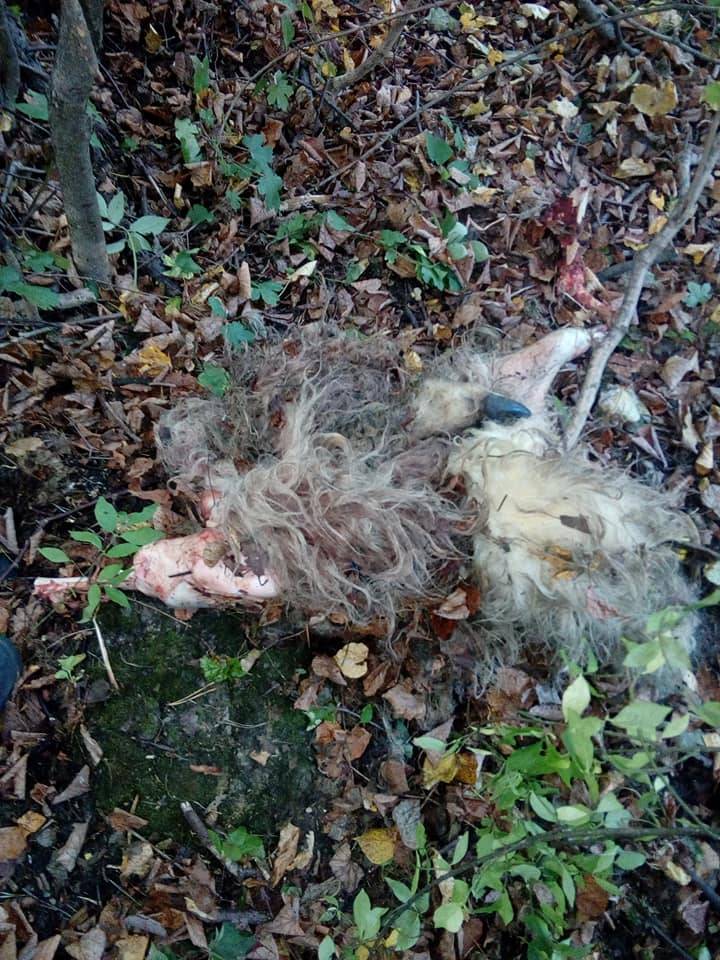 •  Fotó: Császár Edith